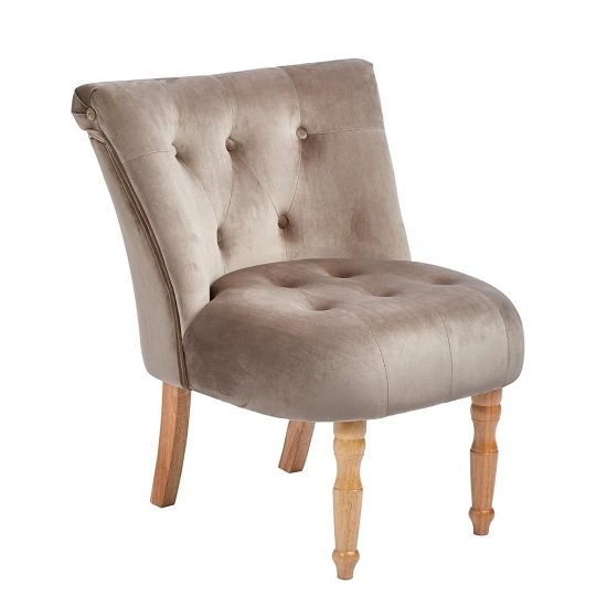 Alger Fabric Occasional Chair In Cappuccino With Wooden Legs