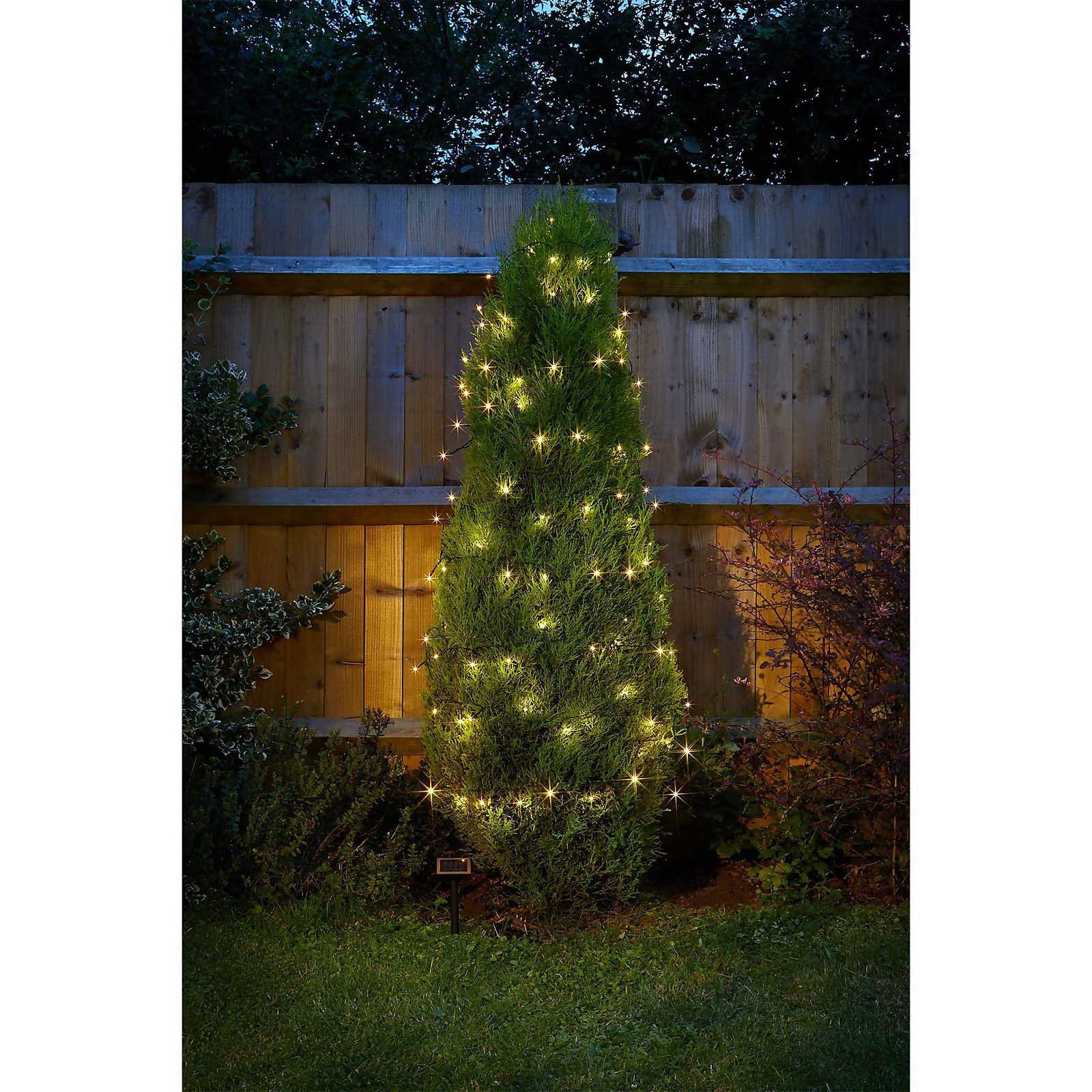 Solar Company 100 Warm White Solar String Light