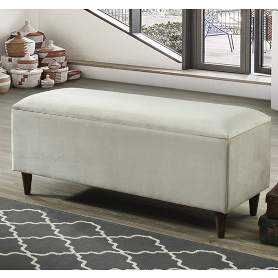 Emstone Velvet Upholstered Storage Ottoman In Champagne