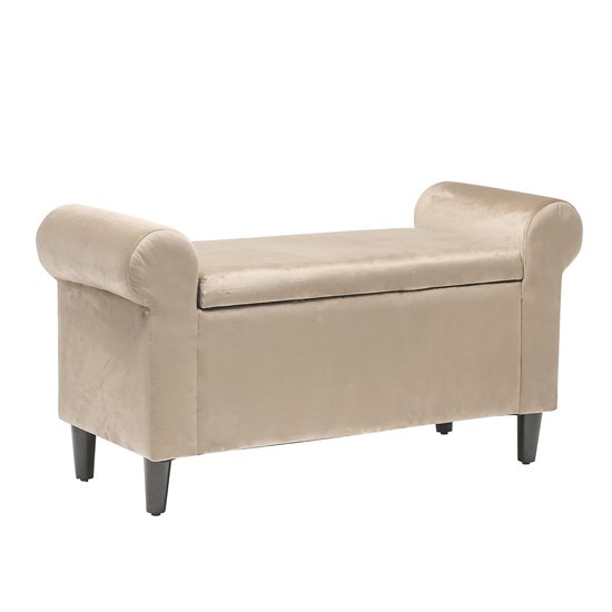 Highgrove Storage Ottoman In Beige